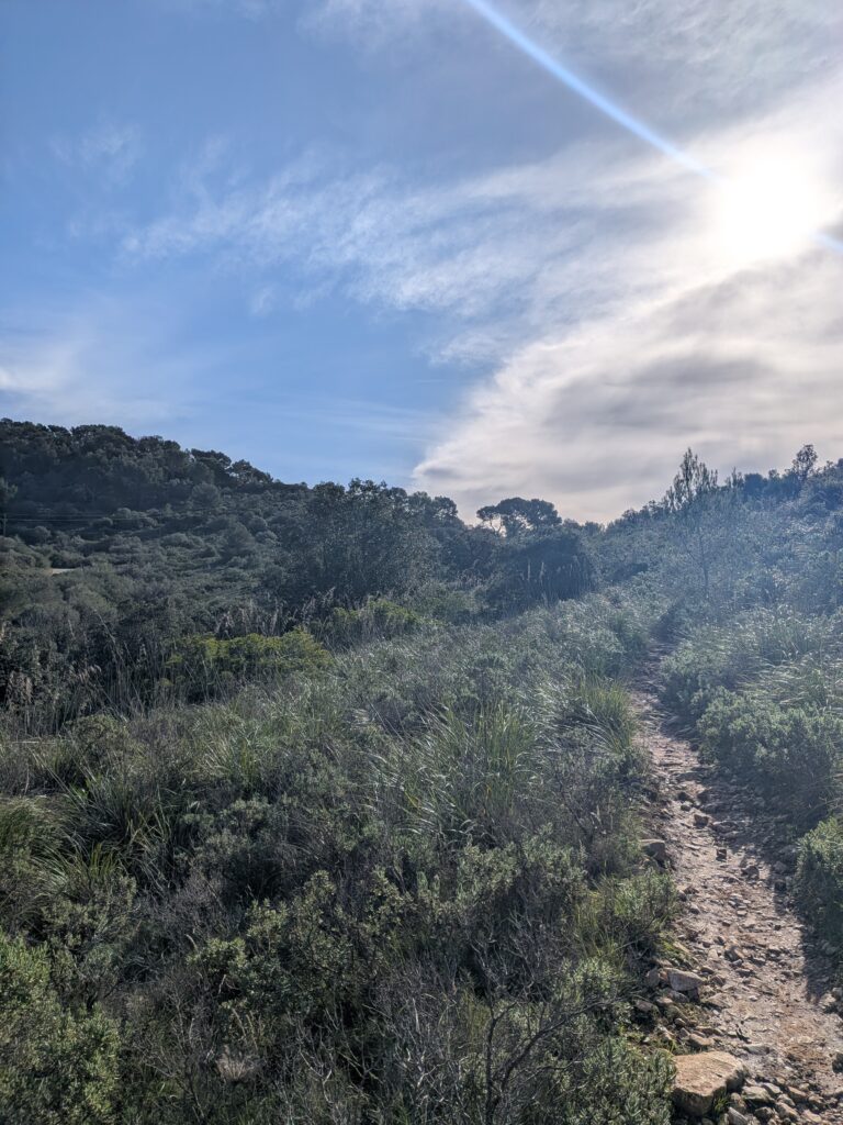 PXL_20260201_095640099