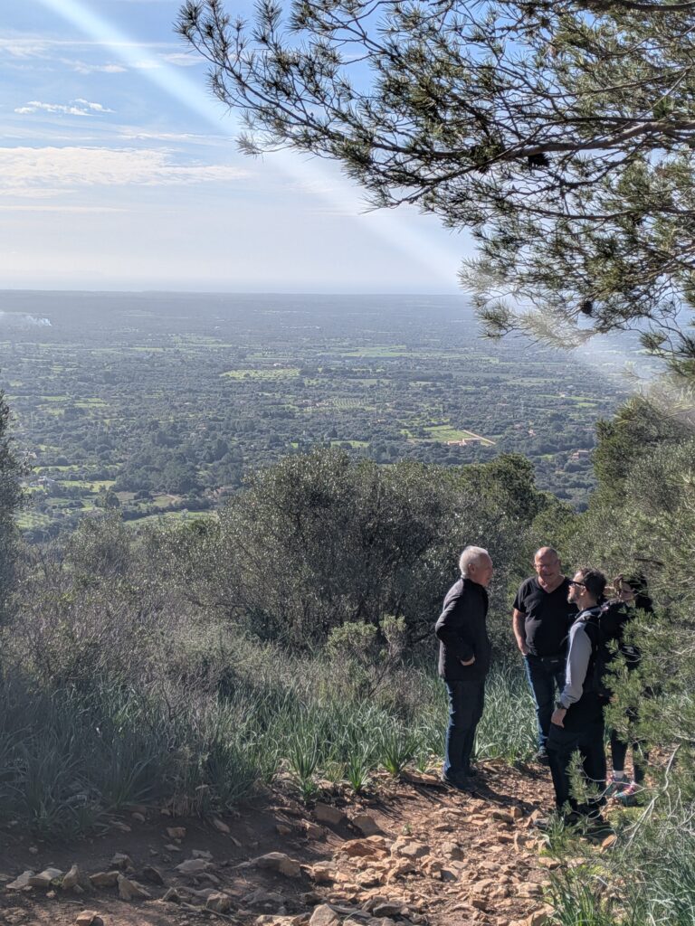 PXL_20260201_100648163.MP