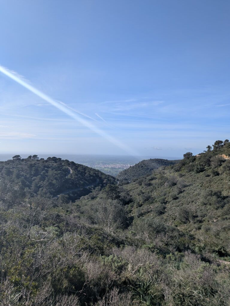 PXL_20260201_102818142.MP